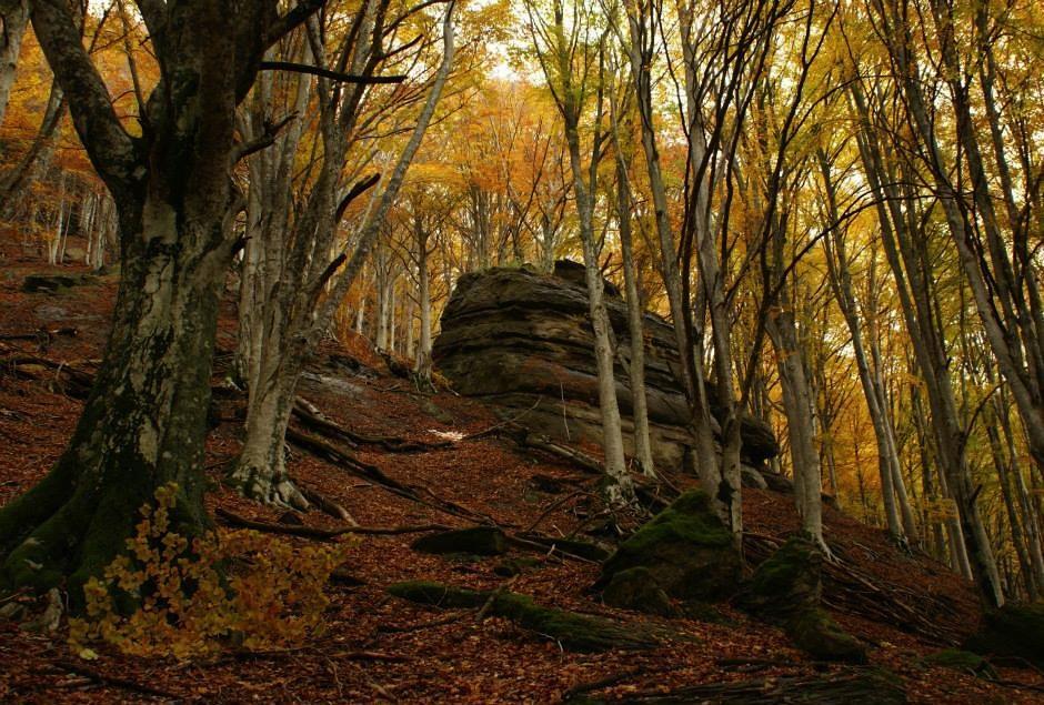 MOTIVAZIONI CHE HANNO INCENTIVATO LA SCELTA DI PROMUOVERE QUESTO PARCO: -Area