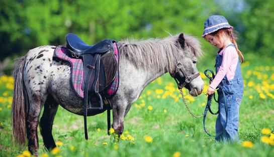 PROGRAMMA LUNEDÌ 14 AGOSTO dalle ore 21 Piazza Foro Boario e centro storico di Serravalle: PASSEGGIATA IN CARROZZA a cura del Circolo Ippico S.