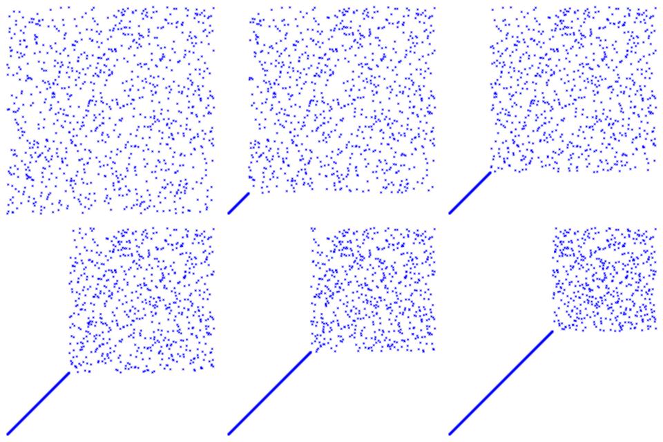 Selection Sort per immagini