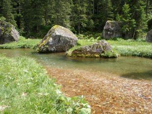 Corsi d acqua 2 Quasi tutti i corsi d acqua sono fortemente influenzati dallo sfruttamento per la produzione di energia idroelettrica I corsi d acqua sono in gran parte da