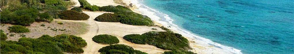 La spiaggia risulta essere ben riparata dal vento di maestrale. Il mare è caratterizzato da un fondale sabbioso che diventa roccioso dopo alcuni metri.