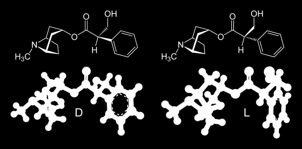 Atropina È un alcaloide derivato dall Atropa Belladonna.