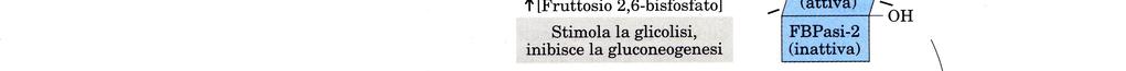 Il F2,6-bifosfato attiva la fosfofruttochinasi I e inibisce la fruttosio