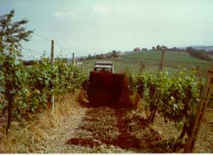 Il Compost in Italia