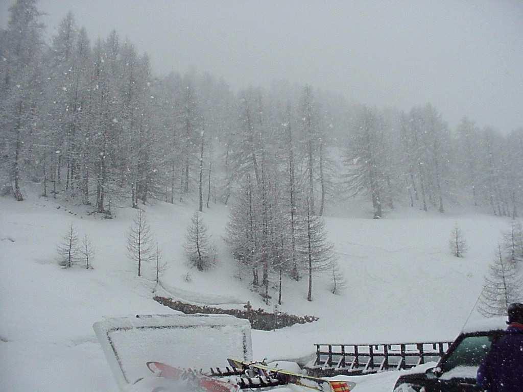 Concetto NEVE Precipitazione nevosa Cristalli di ghiaccio La vita di un cristallo di neve ha inizio all interno delle