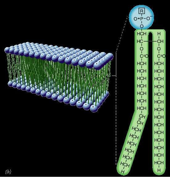 5 nm https://sites.google.