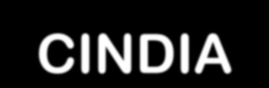 CINDIA Sono tre miliardi e mezzo. Sono più giovani di noi, lavorano più di noi, studiano più di noi. Hanno più risparmi e più capitali di noi da investire. Hanno schiere di premi Nobel della scienza.