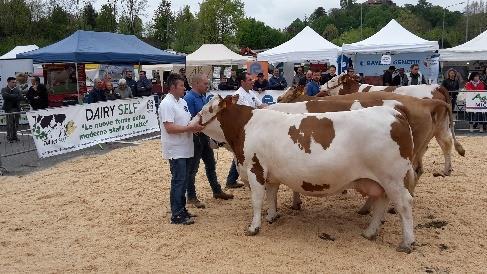 MANIFESTAZIONI GIA SVOLTE nel 2017 Mostra regionale bovini razza