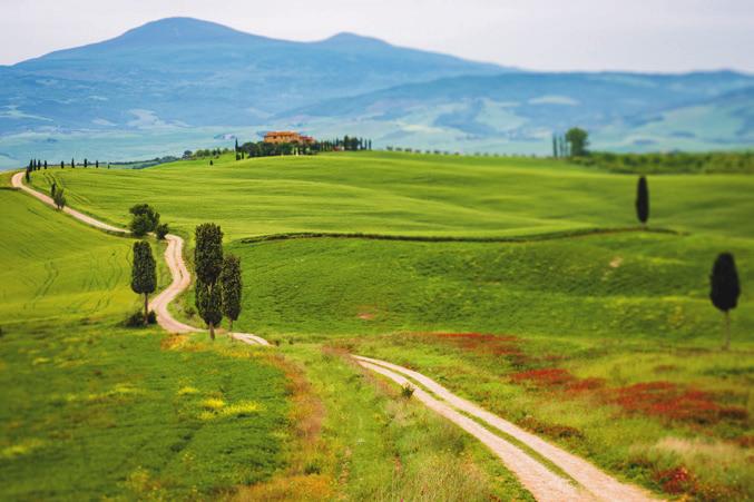 massimo ogni uscita e realizzare da subito splendide foto.