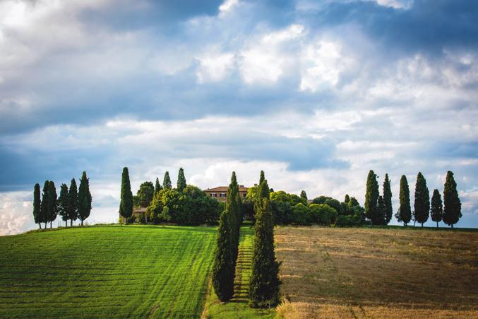 Programma Visiteremo i posti più caratteristici della Val d Orcia sempre nelle migliori condizioni di luce.