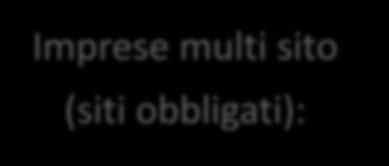 nell anno di riferimento abbiano avuto un consumo superiore alle 100 TEP Imprese multi sito (siti