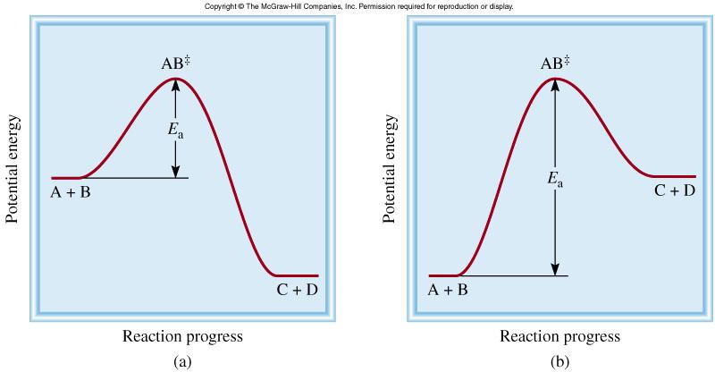 Reazione esotermica + A + B AB C + D Reazione endotermica L energia di