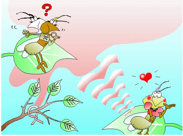 STRATEGIE DI CONTROLLO AUMENTO NELL APPLICAZIONE DI MEZZI BIOTECNICI CONFUSIONE