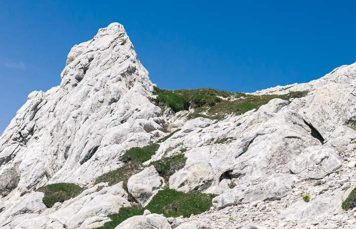 custodisce anche veri e propri tesori mineralogici che hanno reso celebre questa