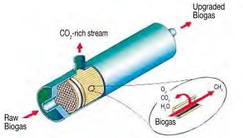 Bilfinger EMS GmbH Processo Carborex MS 11 Processo Pre desolforazione e Pre disidratazione Pressione operativa da 10-16 barg