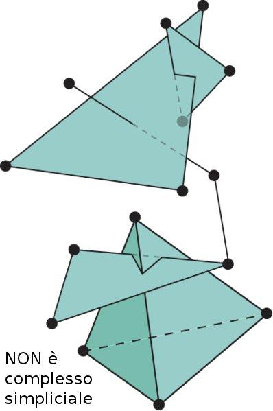 Per esempio, un 2-complesso simpliciale puro è fatto solo di triangoli (non ci