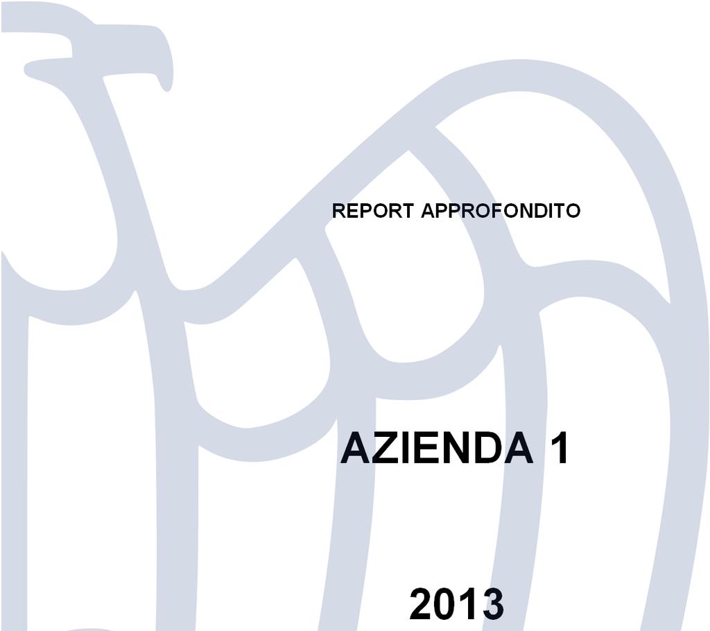 REPORT APPROFONDITO AZIENDA 23 Dati Dati riferiti al: 3/2/23 Il seguente report