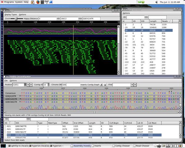 èuna costellazione di frammenti di DNA sovrapposti, ordinati e orientati, che coprono ciascun cromosoma di un genoma.