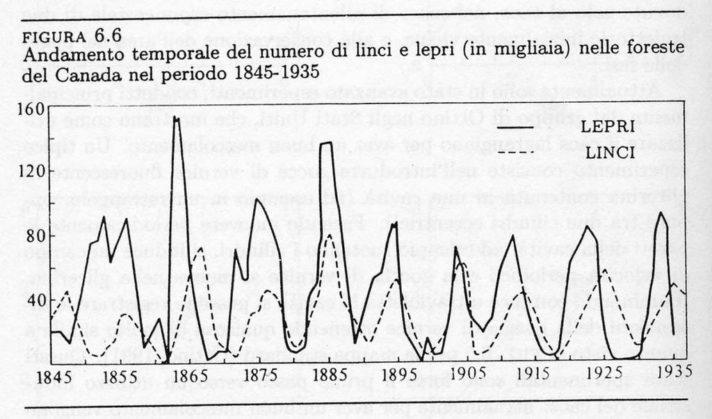 Modelli piu realistici di dinamica delle popolazioni devono tenere conto della presenza di altre specie (esempio: prede-predatori) Modello di Lotka - Volterra (93) n(t+)=r n(t) - b