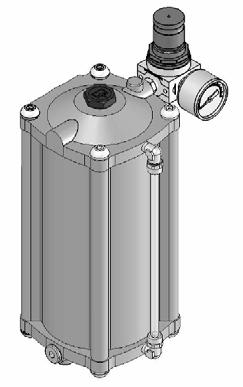 REGOLATORE DI PRESSIONE Nel caso si voglia mandare il serbatoio in pressione si consiglia di applicare all entrata dell aria un regolatore di pressione con manometro di 12 bar.