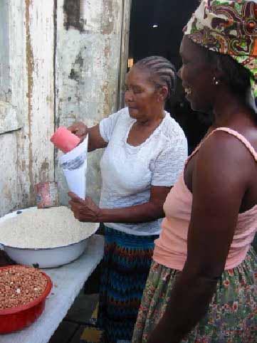 Nasce l ipotesi del Microcredito Predominanza del settore informale quale fonte di reddito per la famiglia nell economia del bairro; Propensione della donna mozambicana al piccolo commercio;
