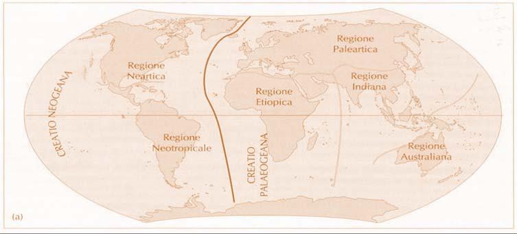 Attualmente le regioni biogeografiche della terra presentano FLORA e FAUNA caratteristiche che hanno origine lontana nel tempo per comprenderne la storia è necessario risalire