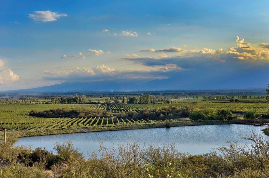 Masi Tupungato mendoza, argentina Dove la natura argentina incontra lo stile veneto visite e degustazioni a tupungato nella regione di Mendoza, Masi ha trovato le condizioni ambientali e culturali