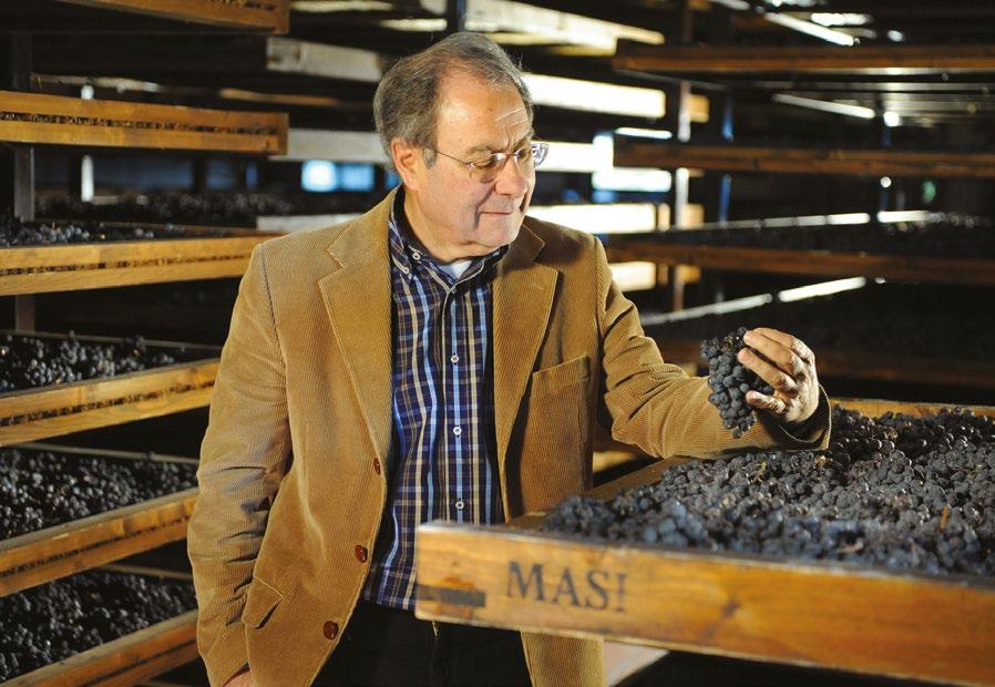 Cantine Masi sant ambrogio di valpolicella Dove abita Mister Amarone visite e degustazioni la sede storica di masi si trova nel cuore della Valpolicella Classica, territorio adagiato sulle colline