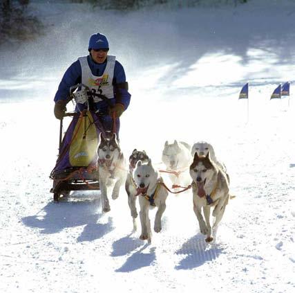 Questa pratica sportiva si svolge infatti su un libero terreno di montagna che può essere pericoloso a causa delle condizioni della neve.