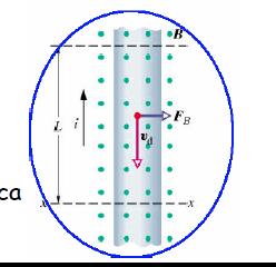 Forza tra due correnti parallele Nel caso del secondo filo