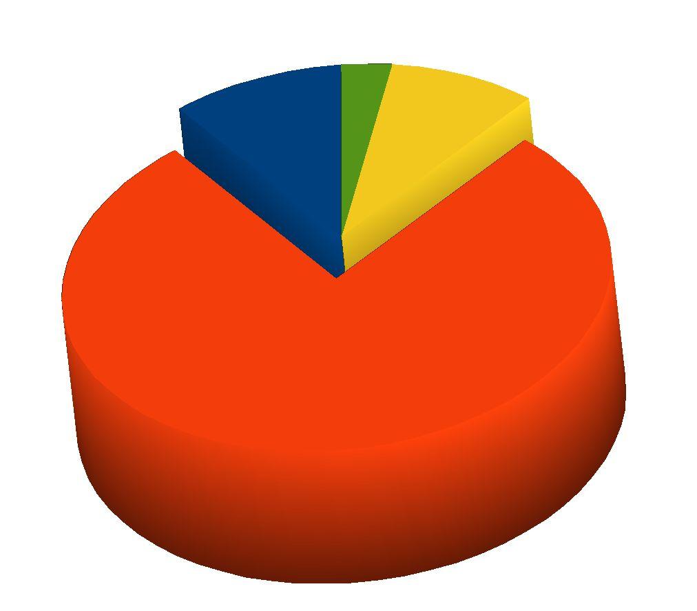 Distribuzione dei consumi domestici 5 10% 3% 9% 78%