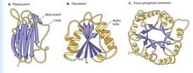 MACROMOLECOLE BIOLOGICHE & COSTITUENTI DI BASE Macromolecole biologiche 1.