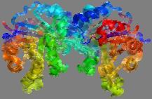 regolazione dell attività biologica BASE PER LA REGOLAZIONE