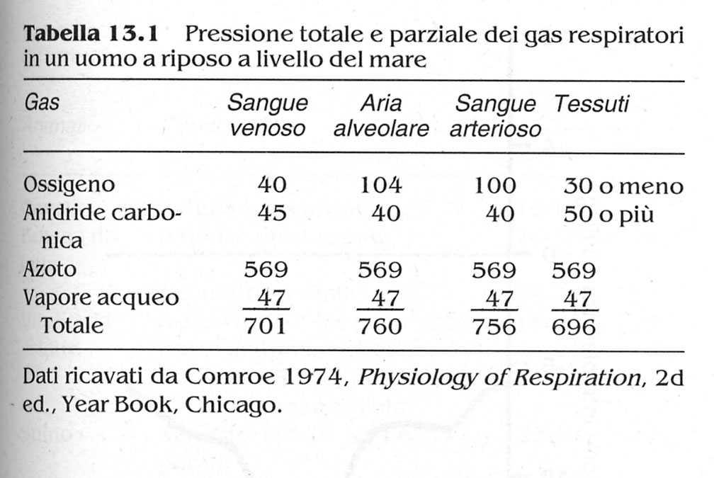 LA CONCENTRAZIONE DI UN GAS SI ESPRIME COME PRESSIONE PARZIALE DI QUEL GAS È DETTA PARZIALE PERCHÉ È ESPRESSA COME PARTE DELLA PRESSIONE TOTALE DEL GAS MISTO PRESENTE IN QUELL'AMBIENTE Ovviamente se