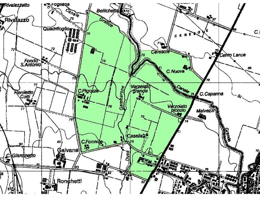 pag 64 Galvana Pigozza - Comune Noceto; Sup: 165.43 Tipo B2 Confini: Nord confluenza fra Canale Grande e Canale del Duca, da qui verso Ceresole e poi lungo la strada per C.