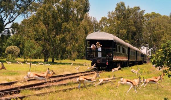 'bagni caldi', nome attribuito per le sue sorgenti di acque minerali calde) e Nylstroom, ritenuta in passato dai "Voortrekkers" la cittadina da dove aveva origine il Nilo.