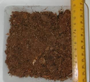 Fig. 3.4. A sinistra. Campione di torba bionda: si noti il colore chiaro e la presenza di fibre lunghe. A destra: campione di fibra di cocco.