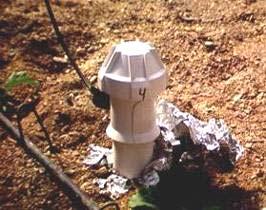 Principali rapporti fra ETE di colture fuori suolo e radiazione globale, misurata all interno della serra (espressa come mm, dividendo il valore per il calore latente di vaporizzazione, pari a 2.