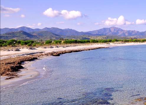 A pagamento: servizio spiaggia. Nella pineta si trova un bar ristorante con piatti tipici e di pesce.