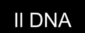 Il DNA e' l'unica molecola depositaria dell'informazione genetica, ossia del progetto nel quale sono