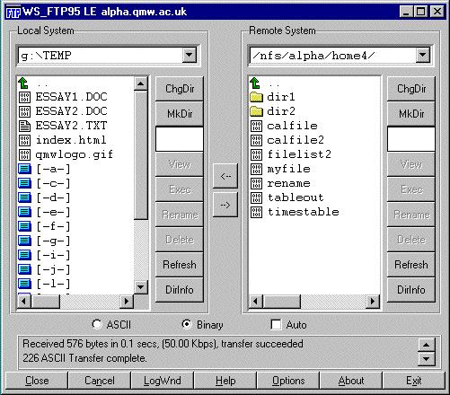 Trasferimento FTP (continua) File sul PC personale File sul PC remoto Cliccare per copiare i file selezionati Questa è una immagine del programma WS- FTP.