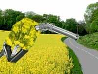 ASSOCOSTIERI - UNIONE PRODUTTORI BIODIESEL PRODUZIONE biodiesel (tons.