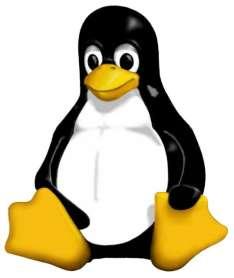 LINUX E un sistema operativo realizzato per fornire agli utenti di personal computer un ambiente di lavoro di tipo UNIX ma gratuito e a diffusione libera.