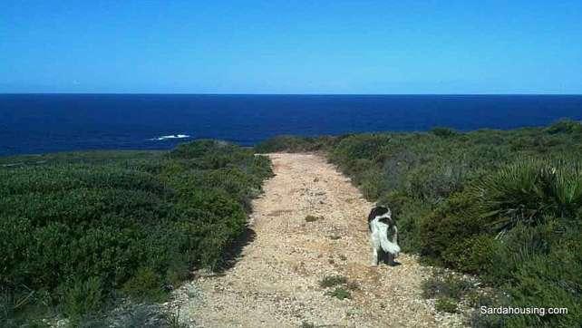 direttamente agli scogli: il Mimoseto, ovvero Cala Tuffi si raggiunge in una decina di minuti. A piedi si raggiunge anche la spiaggia di Calalunga.