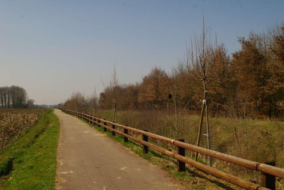 REALIZZAZIONE DELL ALBERATA DI TIGLI LUNGO LA NUOVA PISTA CICLABILE DI VILLANOVA D ASTI (AT) Veduta della