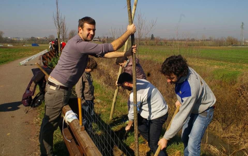 PIANTAGIONE DEGLI ALBERI PER REALIZZARE IL VIALE LUNGO LA PISTA CICLABILE (Villanova d Asti, sabato 8