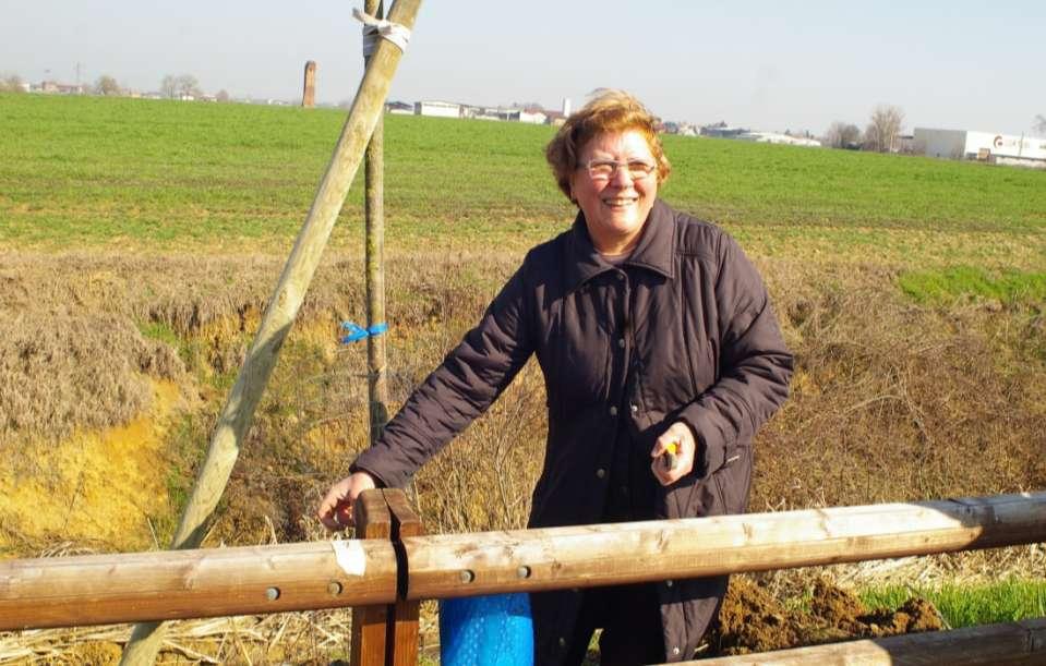 PIANTAGIONE DEGLI ALBERI PER REALIZZARE IL VIALE LUNGO LA PISTA CICLABILE (Villanova d Asti, sabato 8 marzo 2014) MESSA A DIMORA CON LA