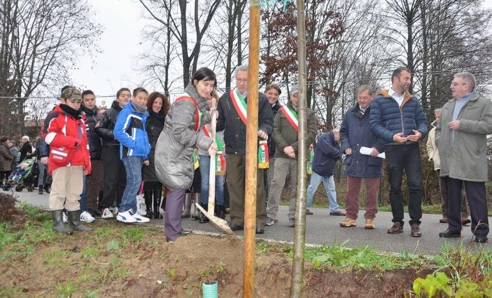 2014 PIANTAGIONE DEGLI ALBERI PER RICOSTITUZIONE DEL VIALE DI TIGLI (Montafia, sabato 21