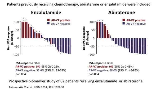 6 Optimizing survival in advanced prostate cancer an drogenico.