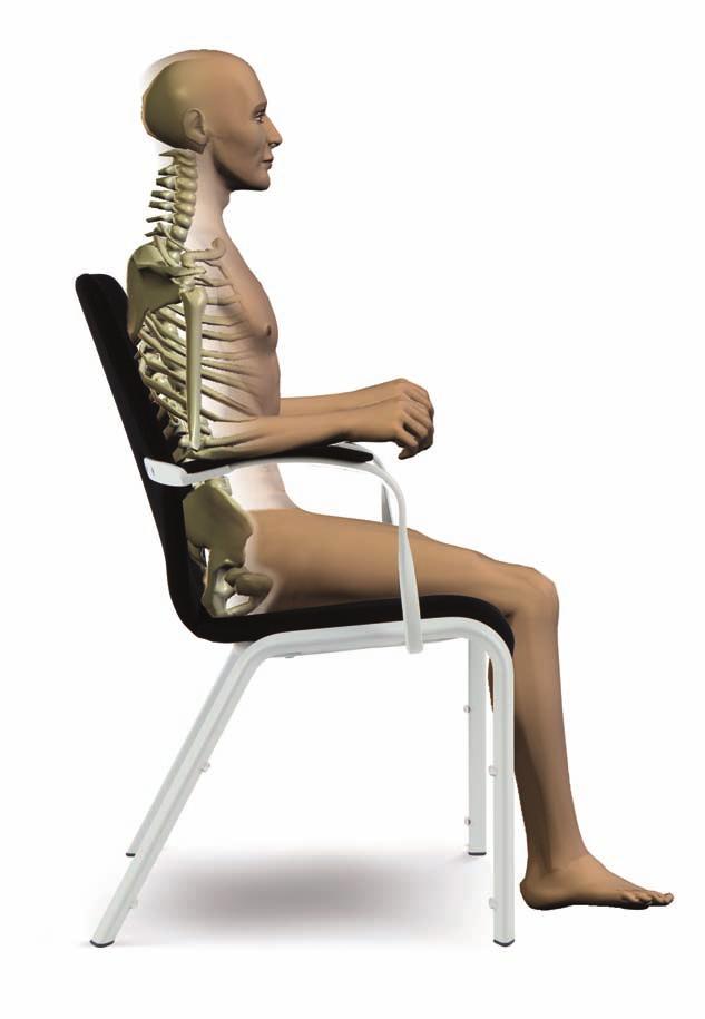 La maggior parte delle sedie costringono le persone ad assumere una innaturale posizione con la spina dorsale a forma di C.
